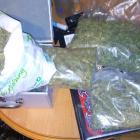 policja-marihuana