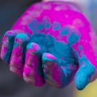 holi2