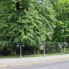 zdjęcie nr 8