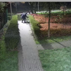Fotka nr 1 z 2
