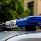 straz mejska