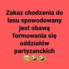 zdjęcie nr 26