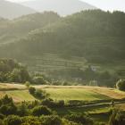 Czyste_beskidy_2