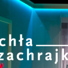 pchła szachrajka 2