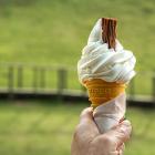 ice-cream-cone-1579124_960_720