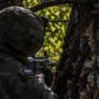 Fotka nr 3 z 14