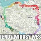 zdjęcie nr 103