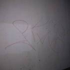 Fotka nr 4 z 5