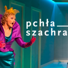 pchła szachrajka 1