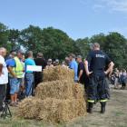 zdjęcie nr 111