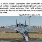 zdjęcie nr 31