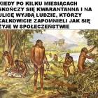 zdjęcie nr 43