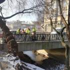 zdjęcie nr 8