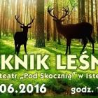 bbfan-piknik-lesny-istebna