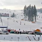 bbfan-zloty-gron