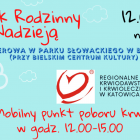 Fotka nr 4 z 12