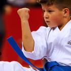 Polish Open, XI International Karate Grand Prix, Bielsko-Biała 2017 (1)