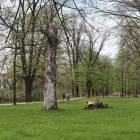 zdjęcie nr 7