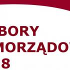 wybory