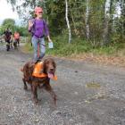 puchar_polski_w_dogtrekkingu_wisla_2016_1