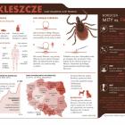 kleszcze2