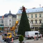IMG_2585_1024x683