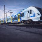 Fotka nr 1 z 3