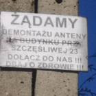 Fotka nr 2 z 8