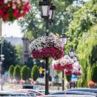 Bielsko-Biała
