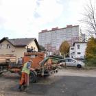 Fotka nr 5 z 7