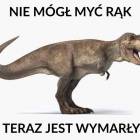zdjęcie nr 107
