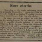 Fotka nr 3 z 4