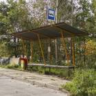 zdjęcie nr 7