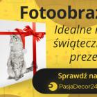 pasja widzet
