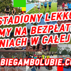 bbl_media