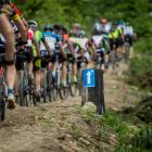bbfan-bike-trophy