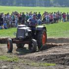 zdjęcie nr 197