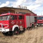 bbfan-plonela-trawa01