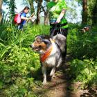 puchar_polski_w_dogtrekkingu_2016_4