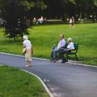 park