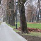 zdjęcie nr 41