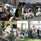 piknik-lowiecki-2017-strona_201704201508