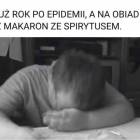 zdjęcie nr 96