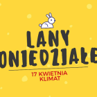 zdjęcie nr 313