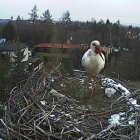 zdjęcie nr 8