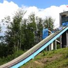 FIS Grand Prix Wisła 2017, Dominacja Polaków w Wiśle, Zwycięstwo Kubackiego, Kot na...