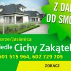 zielony zakatek