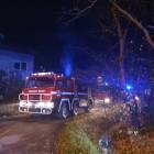 Fotka nr 2 z 4