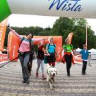 puchar_polski_w_dogtrekkingu_wisla_2016_6