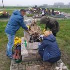 zdjęcie nr 7